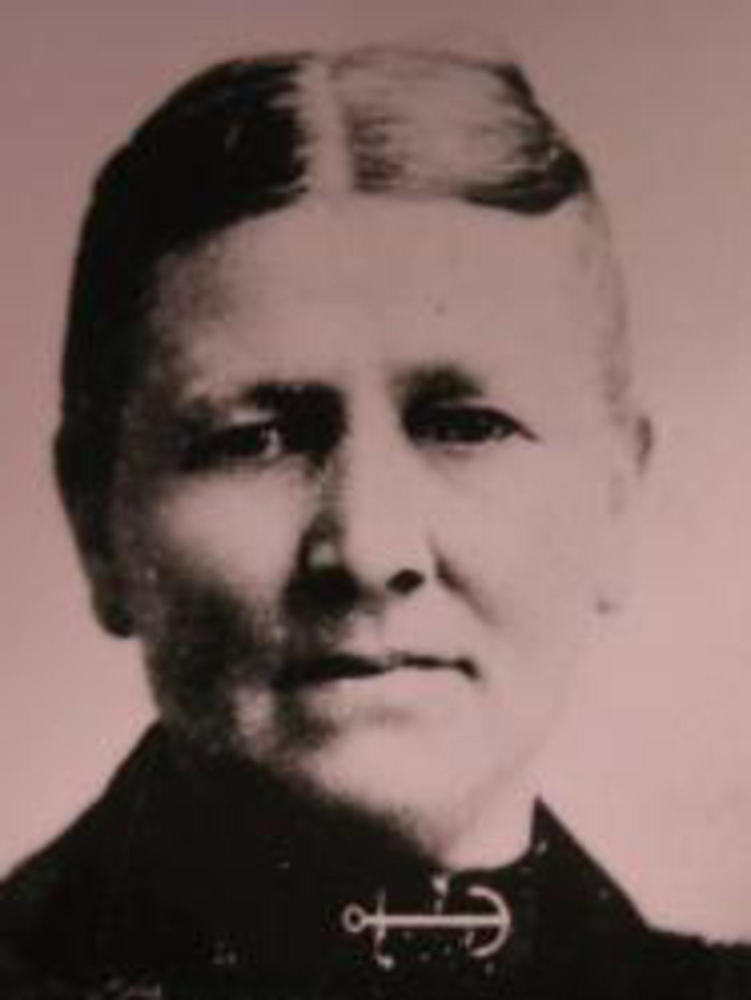 Eliza Jerusa Clift (1847 - 1917) Profile